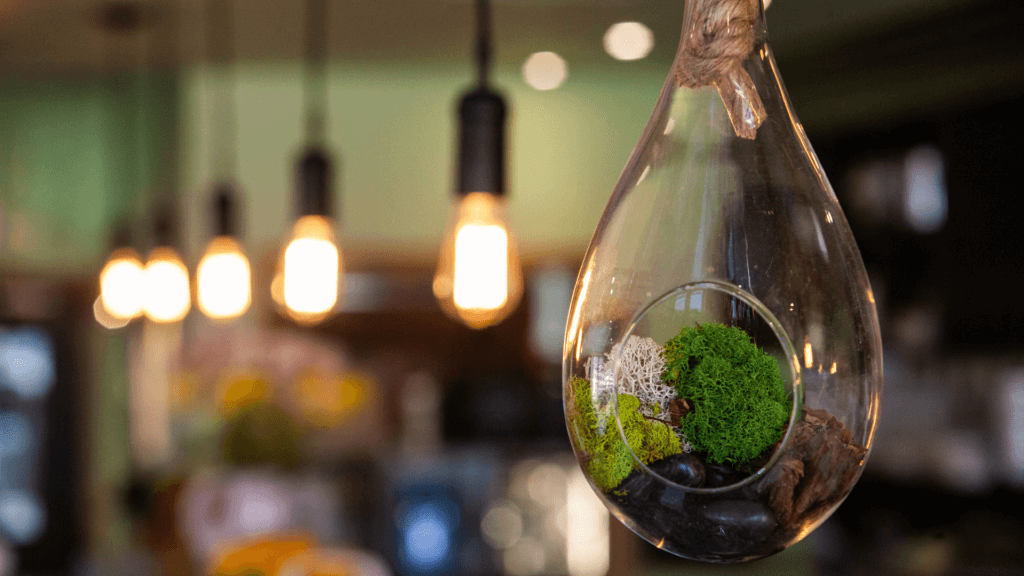  eco friendly options for restaurant fit outs